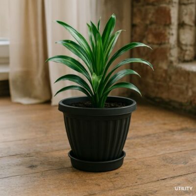 Vaso Florir c/ Prato | 5L